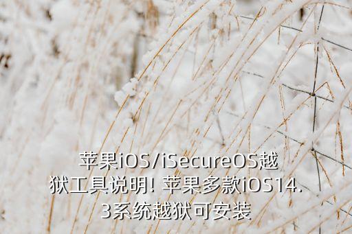  苹果iOS/iSecureOS越狱工具说明! 苹果多款iOS14.3系统越狱可安装
