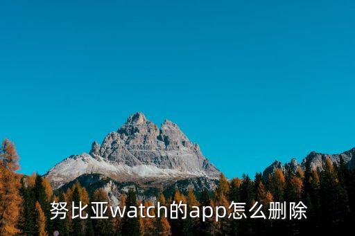 努比亚卸载系统软件,oppo如何强行卸载系统软件