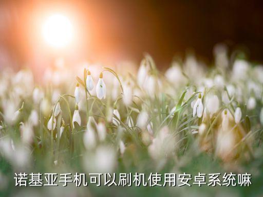 诺基亚能刷什么系统软件