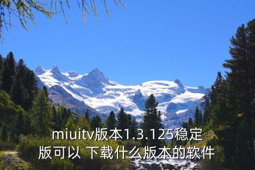 miuitv版本1.3.125稳定版可以 下载什么版本的软件
