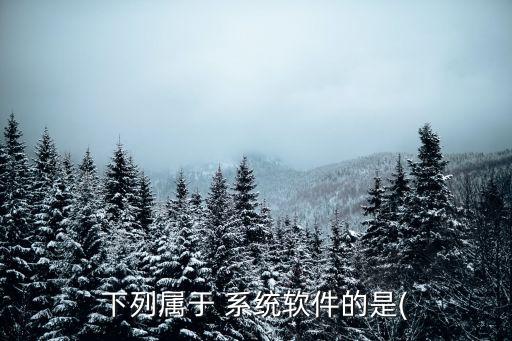 下列属于 系统软件的是(