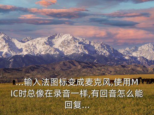 mic是什么系统软件