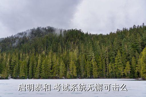 启明泰和 考试系统无懈可击么