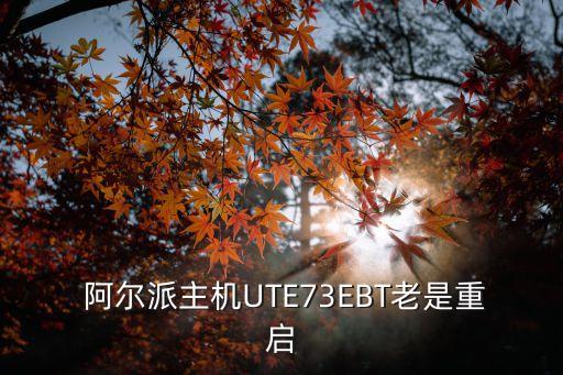  阿尔派主机UTE73EBT老是重启