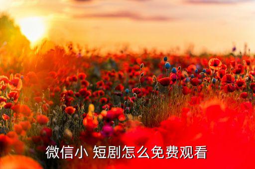 短剧小程序投放系统软件