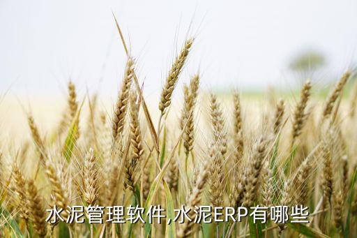 水泥管理软件,水泥ERP有哪些