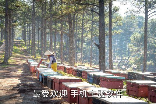 最受欢迎 手机主题软件