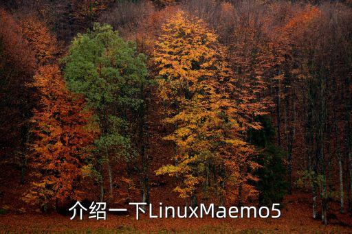 介绍一下LinuxMaemo5