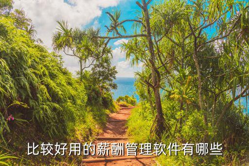 新加坡查工资系统软件下载,富士康查工资软件下载苹果版