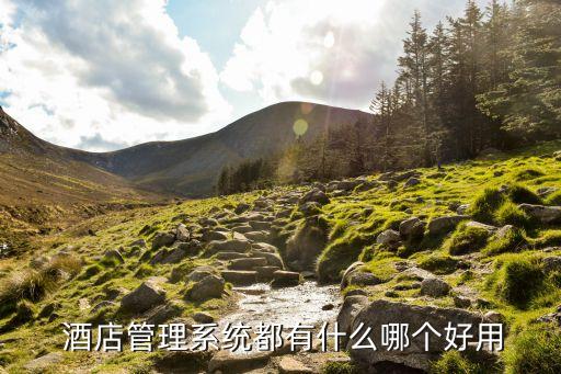  酒店管理系统都有什么哪个好用