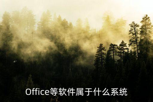 Office等软件属于什么系统