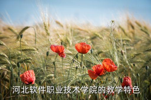  河北软件职业技术学院的教学特色