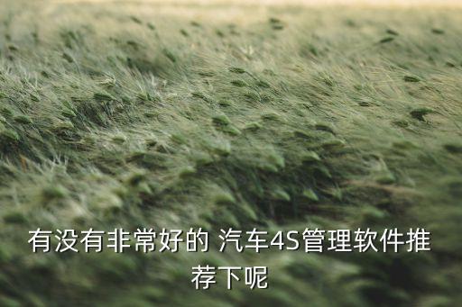 有没有非常好的 汽车4S管理软件推荐下呢