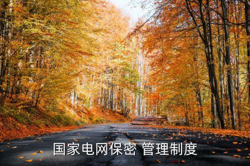 国家电网保密 管理制度