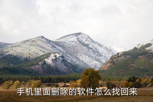 手机怎么恢复系统软件,怎么恢复手机出厂设置