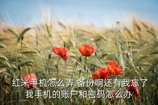  红米手机怎么弄 备份啊还有我忘了我手机的账户和密码怎么办