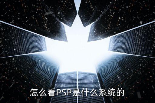 psp系统软件5.50,在线的crm系统软件