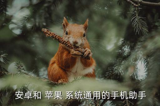安卓系统 苹果系统软件