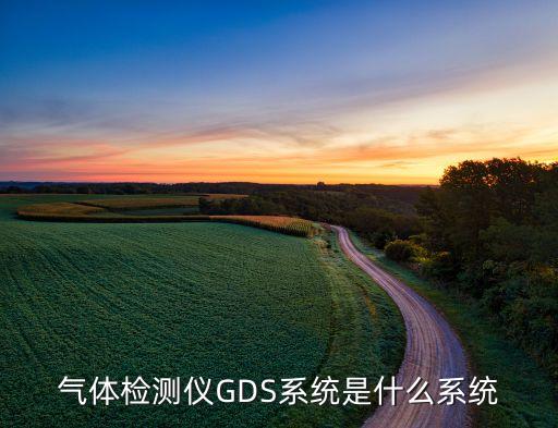 气体检测仪GDS系统是什么系统