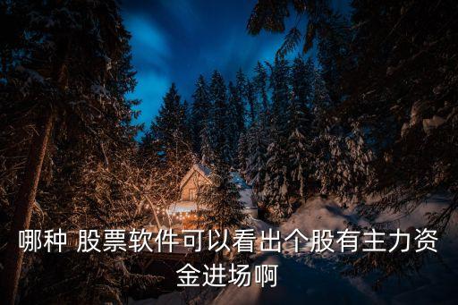 哪种 股票软件可以看出个股有主力资金进场啊