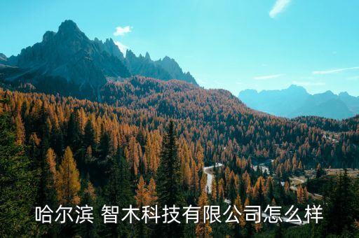 智木系统软件,书木工艺与制造系统软件