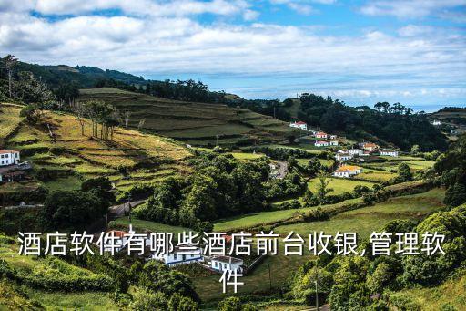 酒店软件有哪些酒店前台收银,管理软件