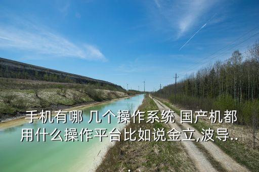 手机有哪 几个操作系统 国产机都用什么操作平台比如说金立,波导...