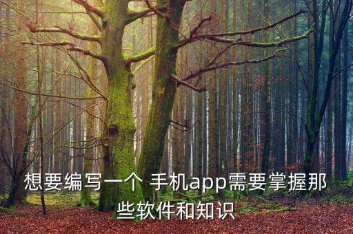 想要编写一个 手机app需要掌握那些软件和知识
