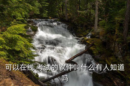 可以在线 考试的软件叫什么有人知道吗