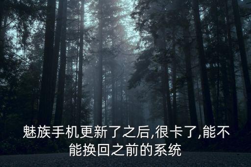  魅族手机更新了之后,很卡了,能不能换回之前的系统