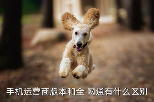 全网通是什么系统软件