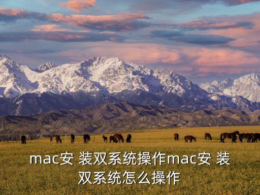 mac安 装双系统操作mac安 装双系统怎么操作