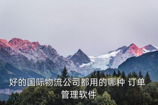 好的国际物流公司都用的哪种 订单 管理软件