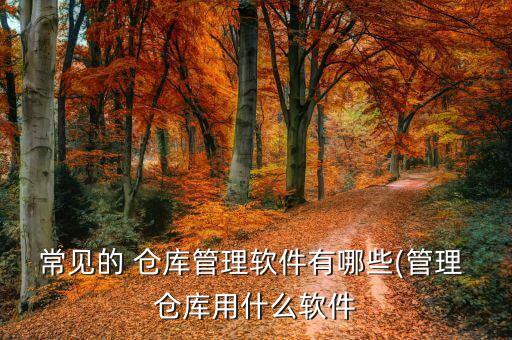 常见的 仓库管理软件有哪些(管理 仓库用什么软件