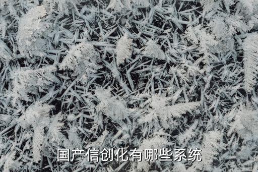 国产信创化有哪些系统