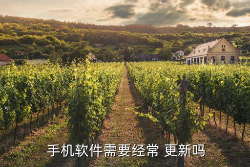  手机软件需要经常 更新吗