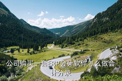 购进管理系统软件 摊销,无形资产管理系统摊销年限