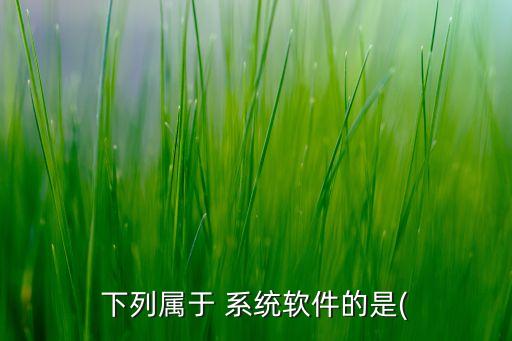 ord2000是系统软件