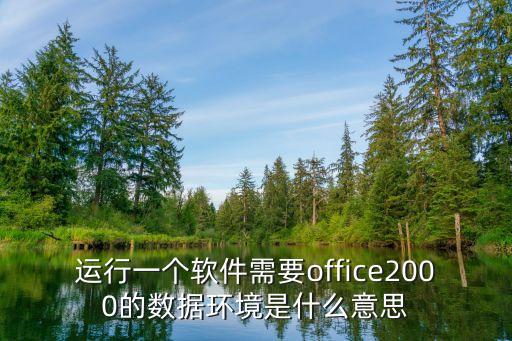 运行一个软件需要office2000的数据环境是什么意思