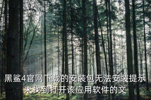 黑鲨4官网下载的安装包无法安装提示未找到打开该应用软件的文