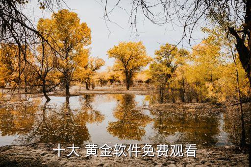 十大 黄金软件免费观看