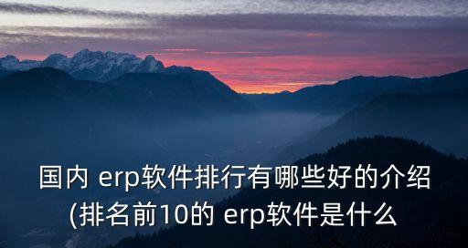 国内 erp软件排行有哪些好的介绍(排名前10的 erp软件是什么
