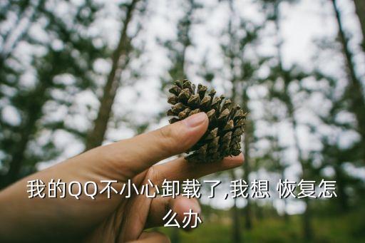 我的QQ不小心卸载了,我想 恢复怎么办