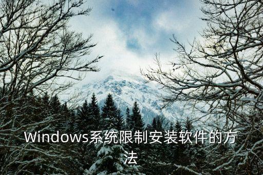 windows系统软件安装,系统软件卸载了如何重新安装
