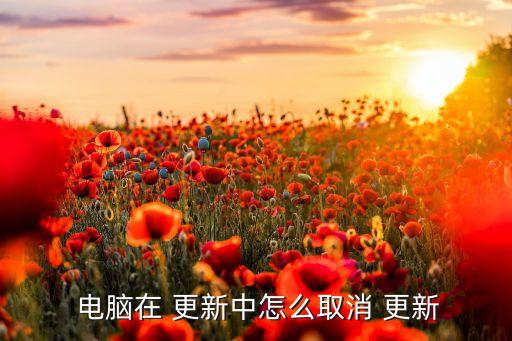  电脑在 更新中怎么取消 更新