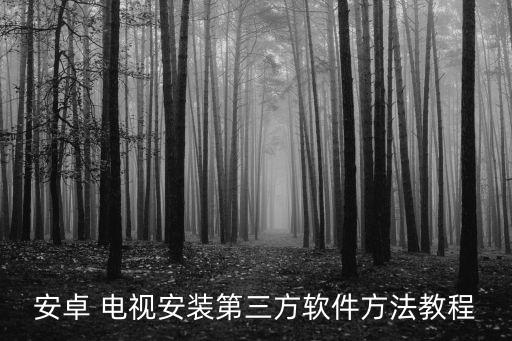 安卓 电视安装第三方软件方法教程