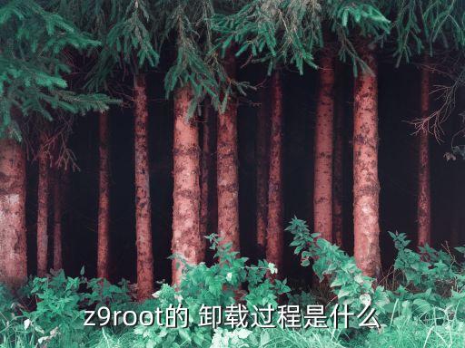z9root的 卸载过程是什么