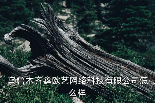  乌鲁木齐鑫欧艺网络科技有限公司怎么样