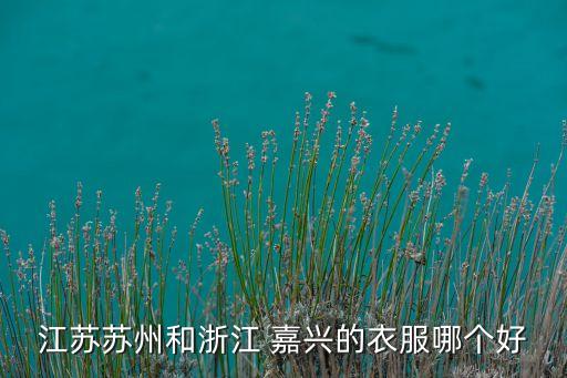 江苏苏州和浙江 嘉兴的衣服哪个好