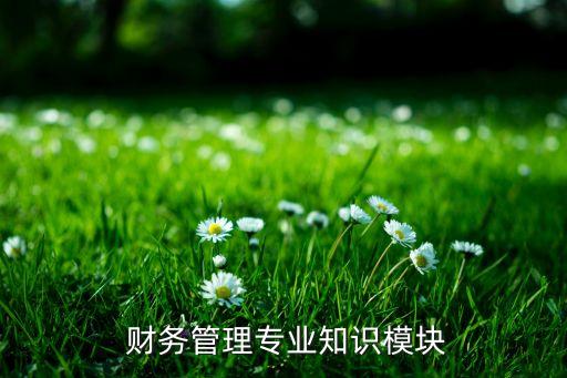  财务管理专业知识模块